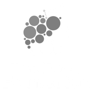 The Food Foundation